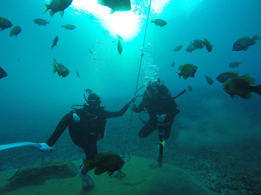 Valentine scuba divers景点图片