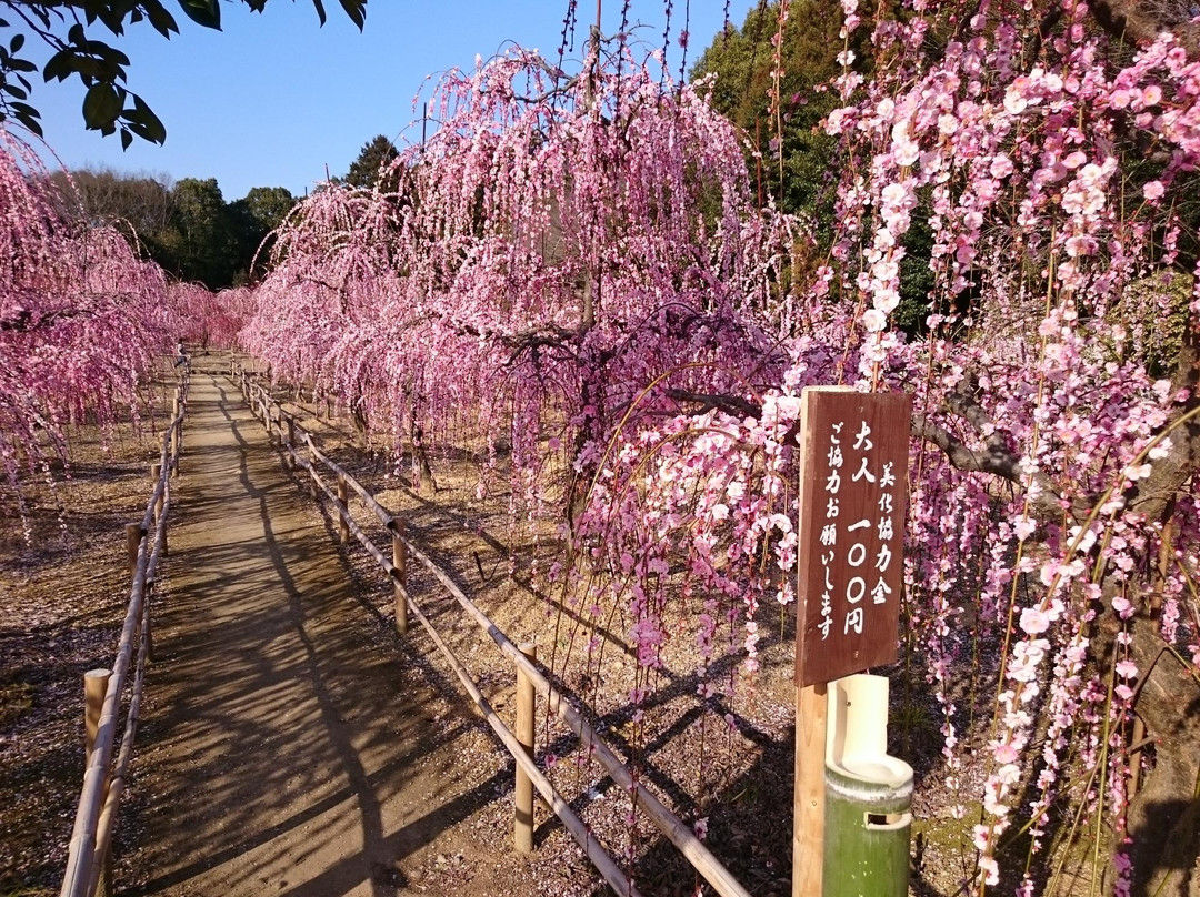Sugawara Shrine景点图片