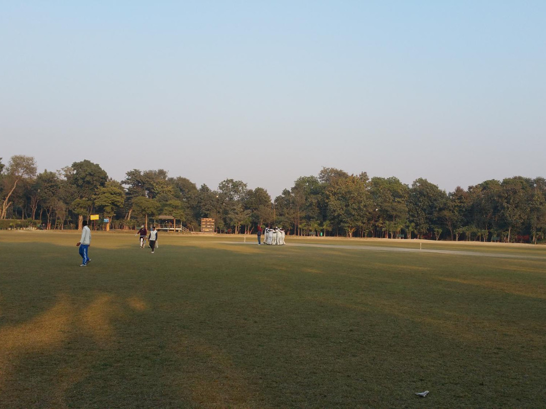 Gandhi Bagh/Company Garden景点图片