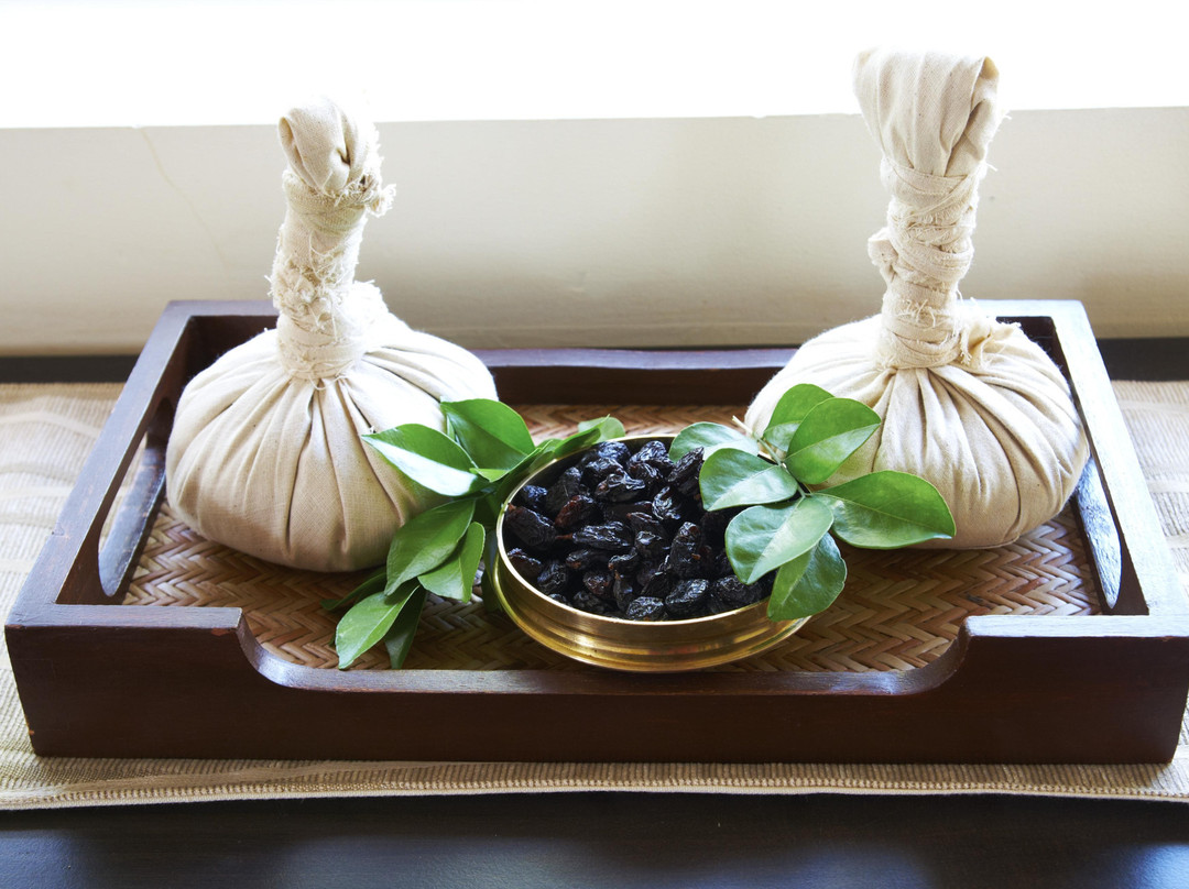 Traya Natural Health Centre景点图片