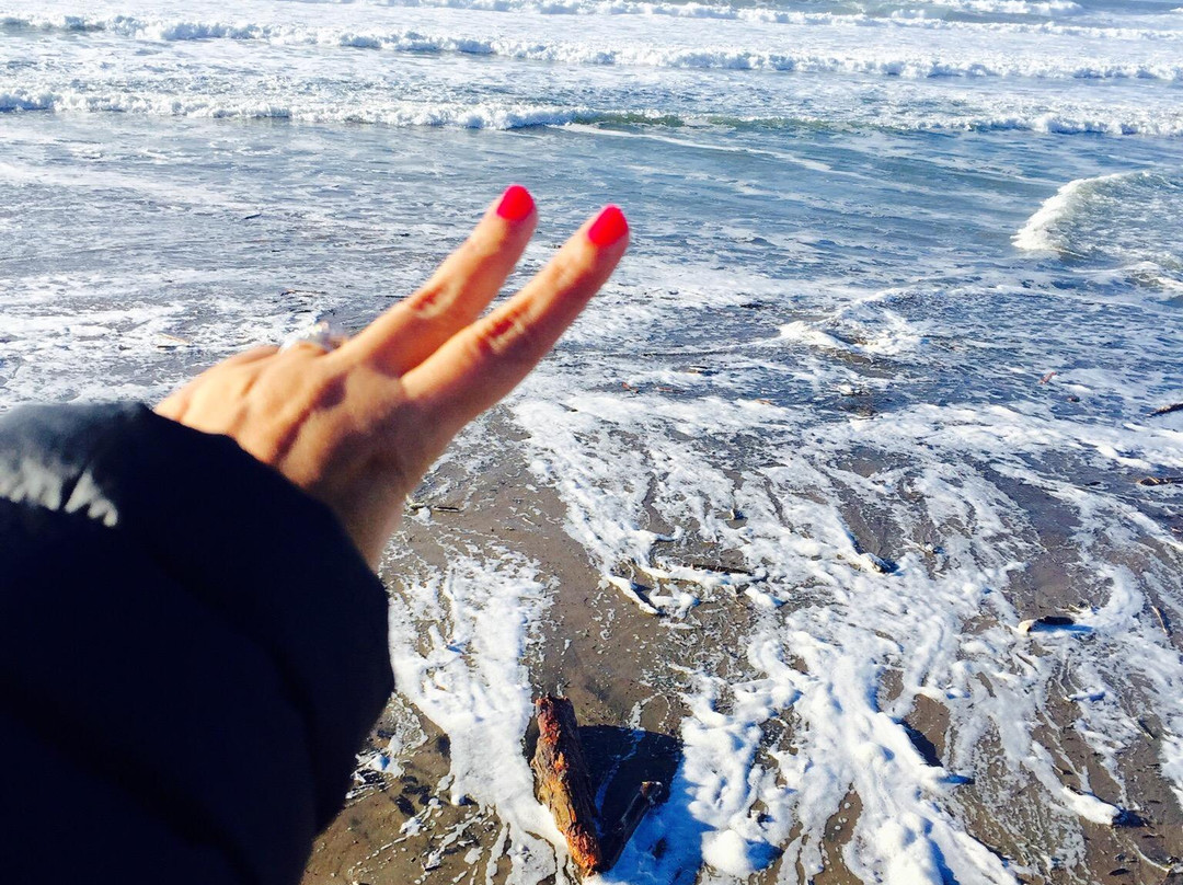 D River State Recreation Site-林肯城必去景点