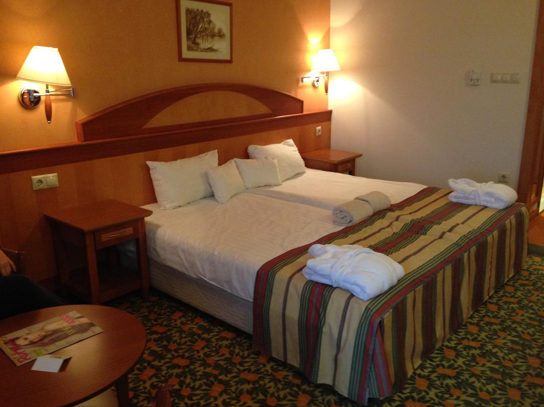 Vitalmed Hotel Sarvar主图