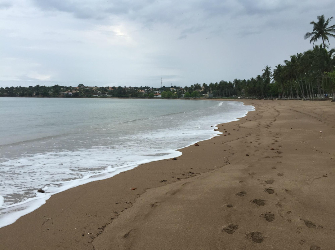 Praia Lagarto景点图片
