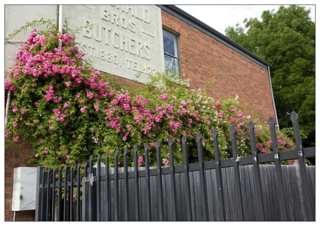 Kyneton Mineral Springs Reserve-凯尼顿必去景点