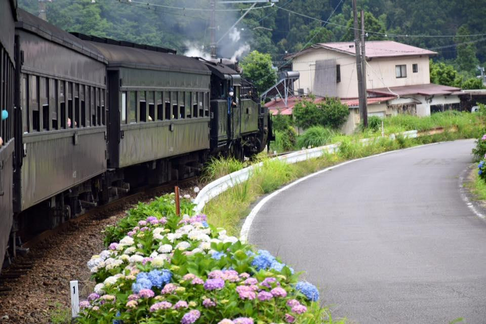 Senzu Onsen Shun-川根本町必去景点