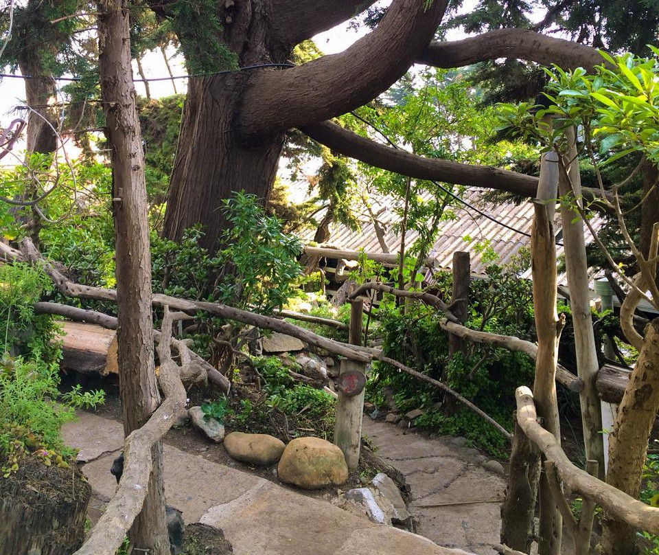 Maitencillo酒店住宿-Cabañas Hermansen