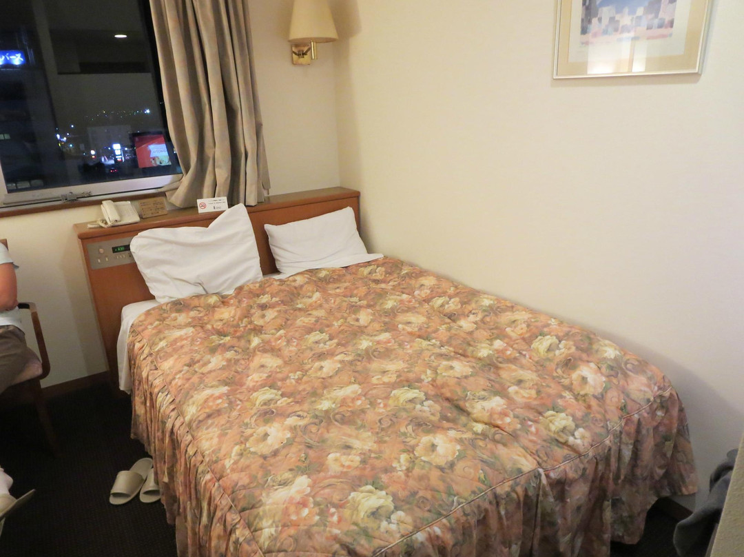 Terminal Toyo Hotel主图