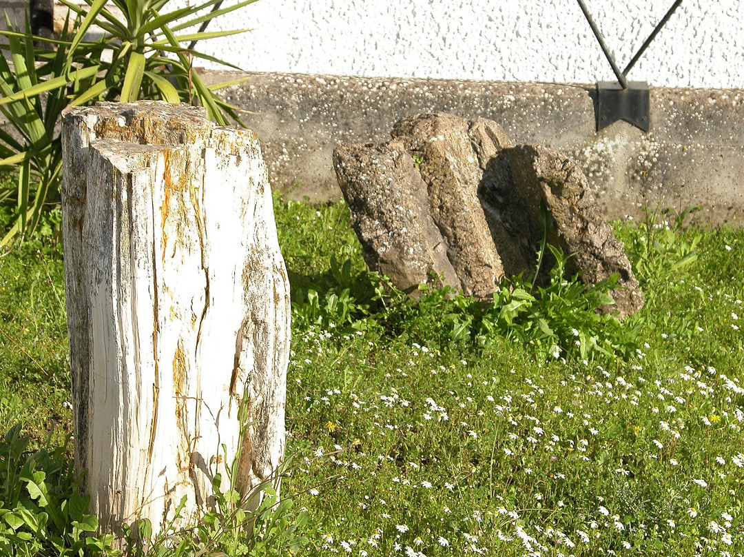 Perfugas旅游景点-Museo Archeologico e Paleobotanico di Perfugas