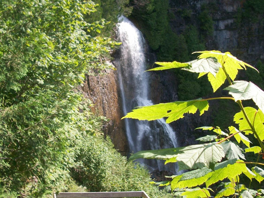 Chalets-Motel Domaine aux Cygnes主图