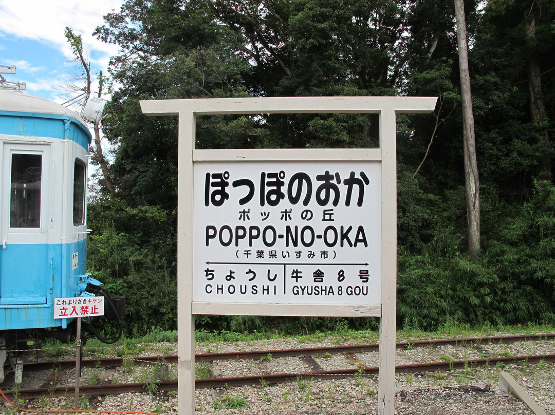 Isumi Poppo no Oka-夷隅市必去景点