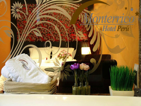 San Juan De Miraflores酒店住宿-Monterrico Hotel Peru