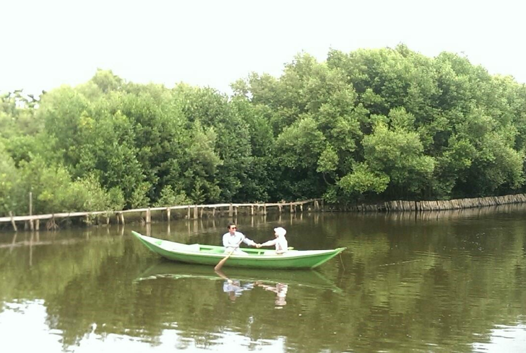Alam Angke Kapuk Nature Park景点图片
