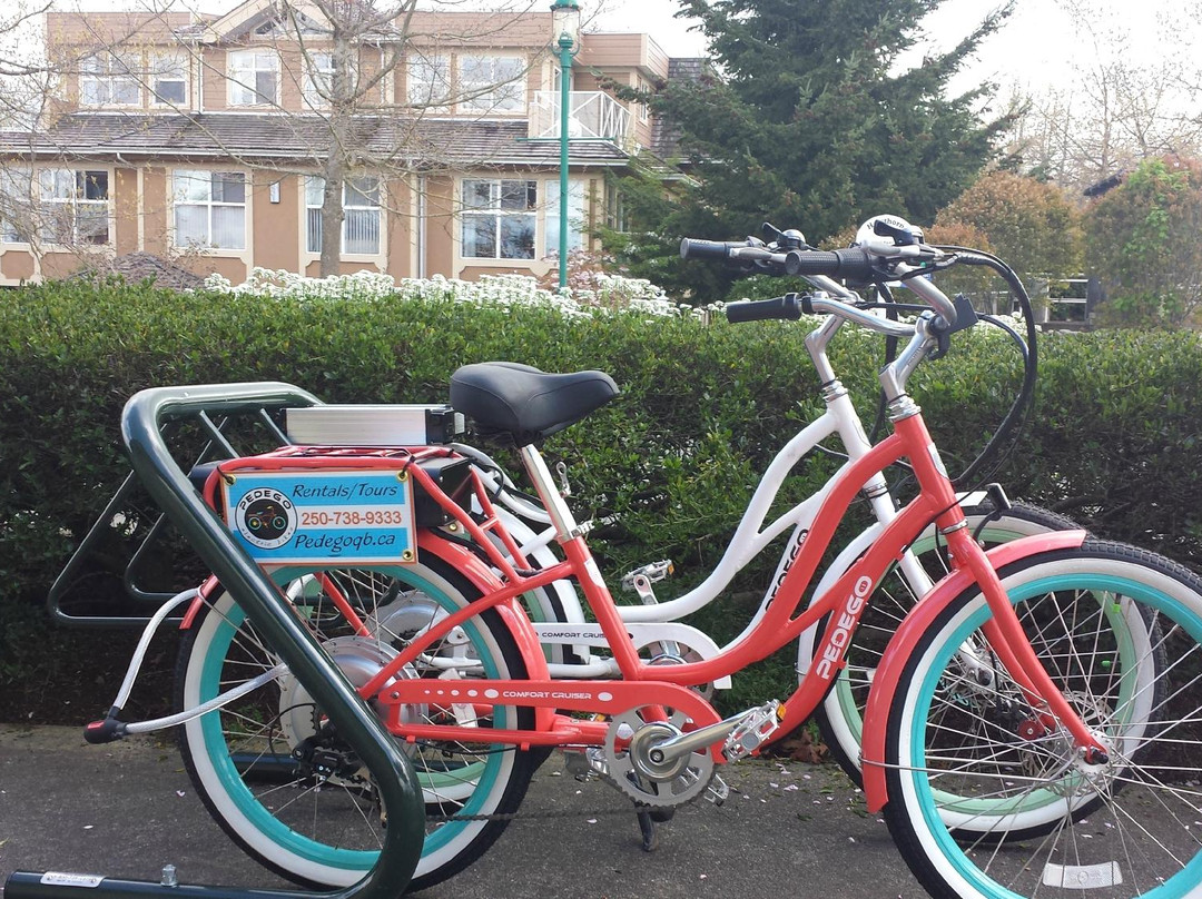 Pedego Electric Bikes景点图片