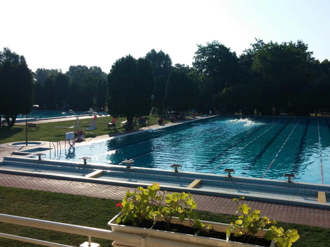 Iza酒店住宿-Het Vezer Apartmanhotel