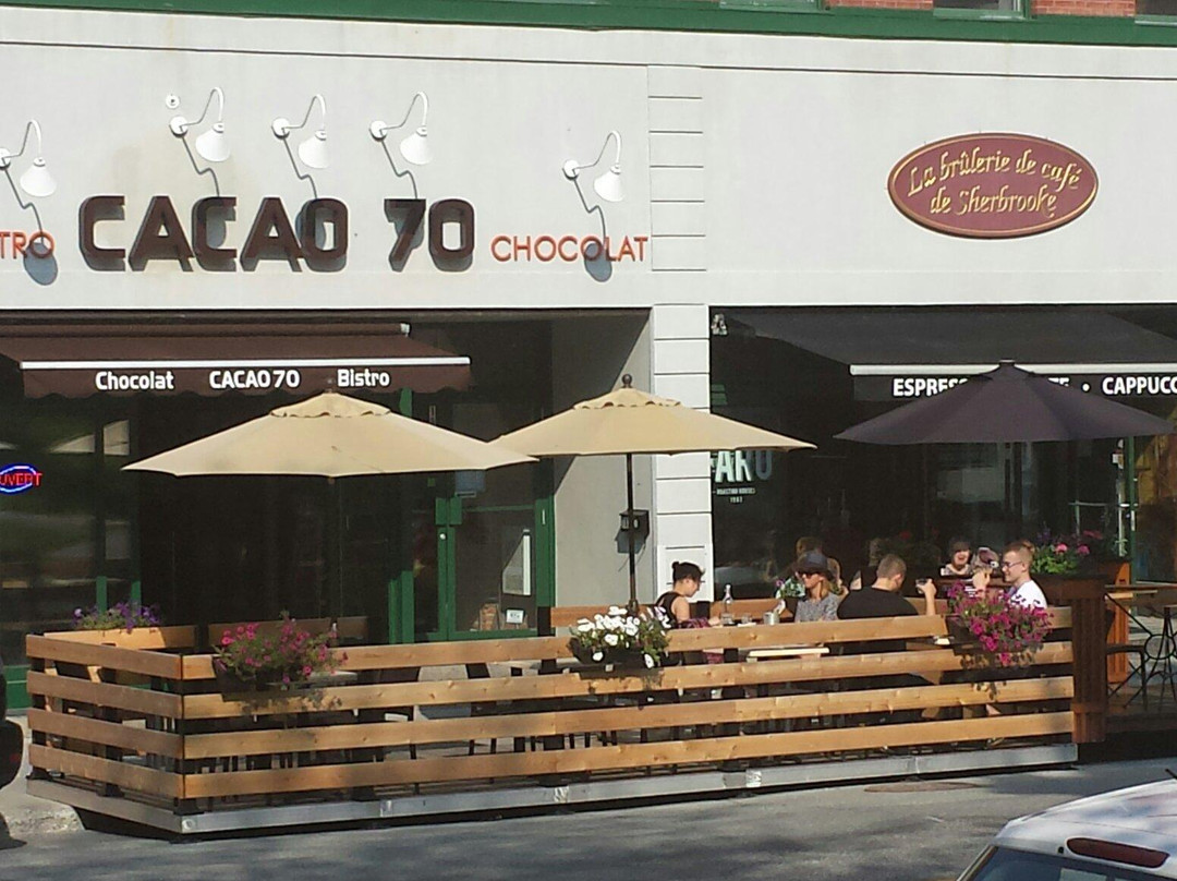 Cacao 70
