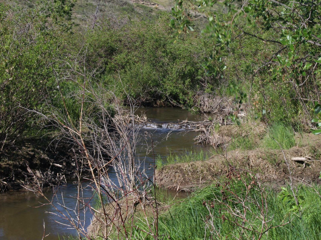 Cochrane Ranche Park-科克伦必去景点