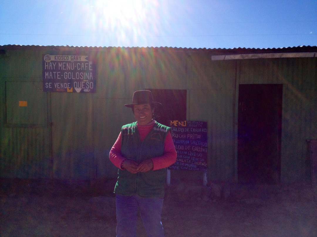 Reserva Nacional Pampa Galeras Barbara D'Achille-Ayacucho必去景点