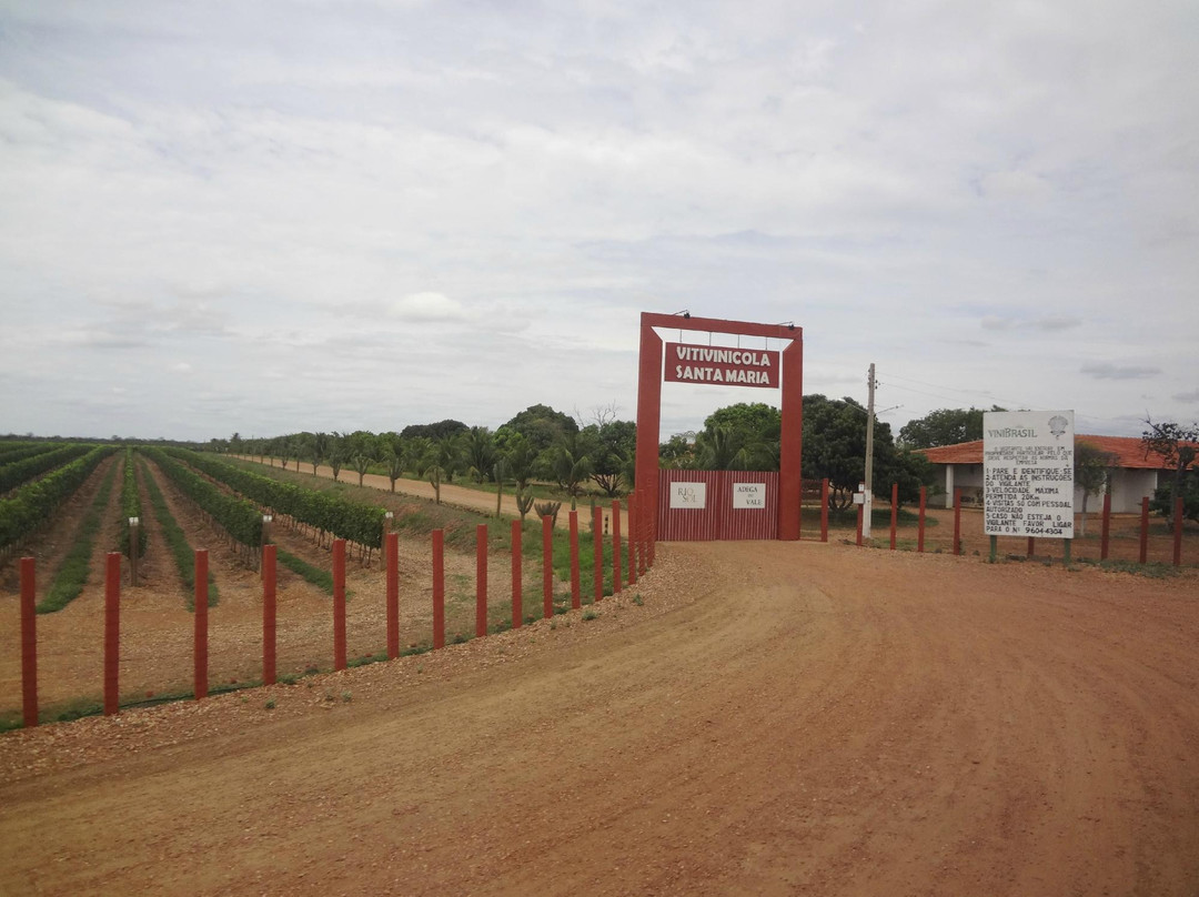 Oroco旅游景点-Vitivinicola Santa Maria