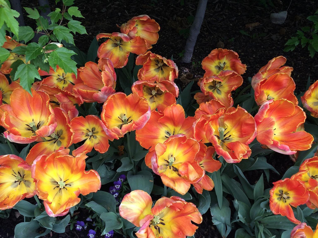 Thanksgiving Point Golf Club-李海必去景点