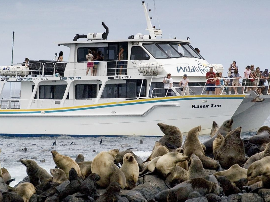 Wildlife Coast Cruises-考斯必去景点