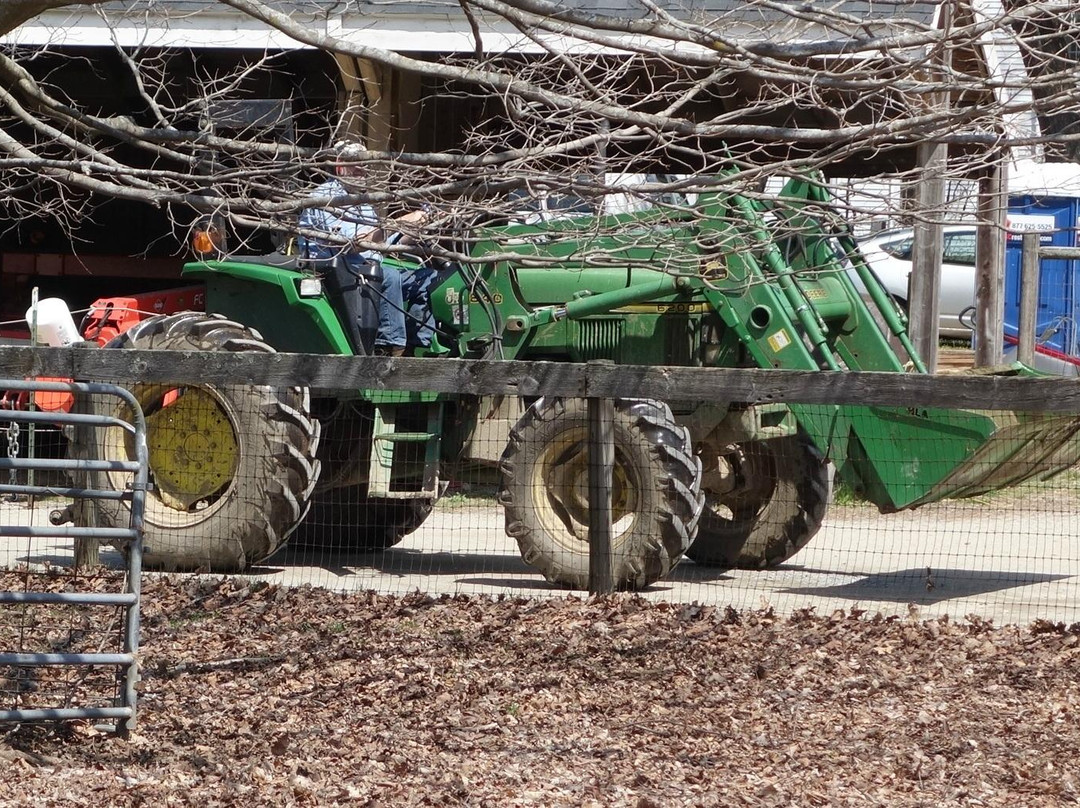 Mass Audubon Drumlin Farm Wildlife Sanctuary-Lincoln必去景点