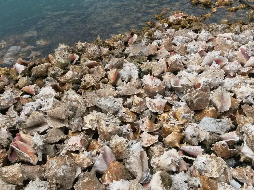 Musee Schoelcher-Pointe-a-Pitre必去景点