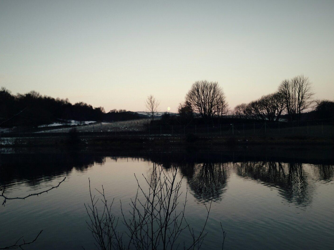 Milngavie Reservoirs-Milngavie必去景点