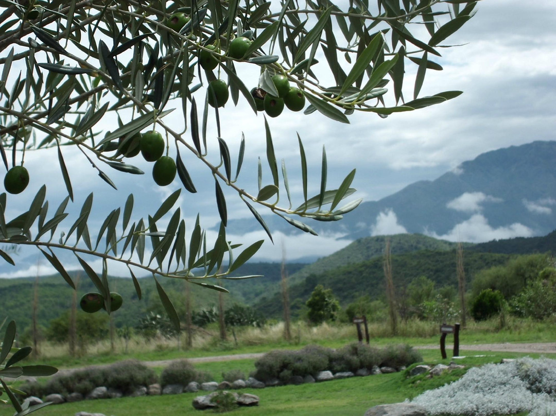 Sierra Pura-Luyaba必去景点