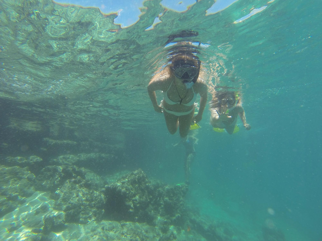 Dive Bazaruto-Vilanculos必去景点