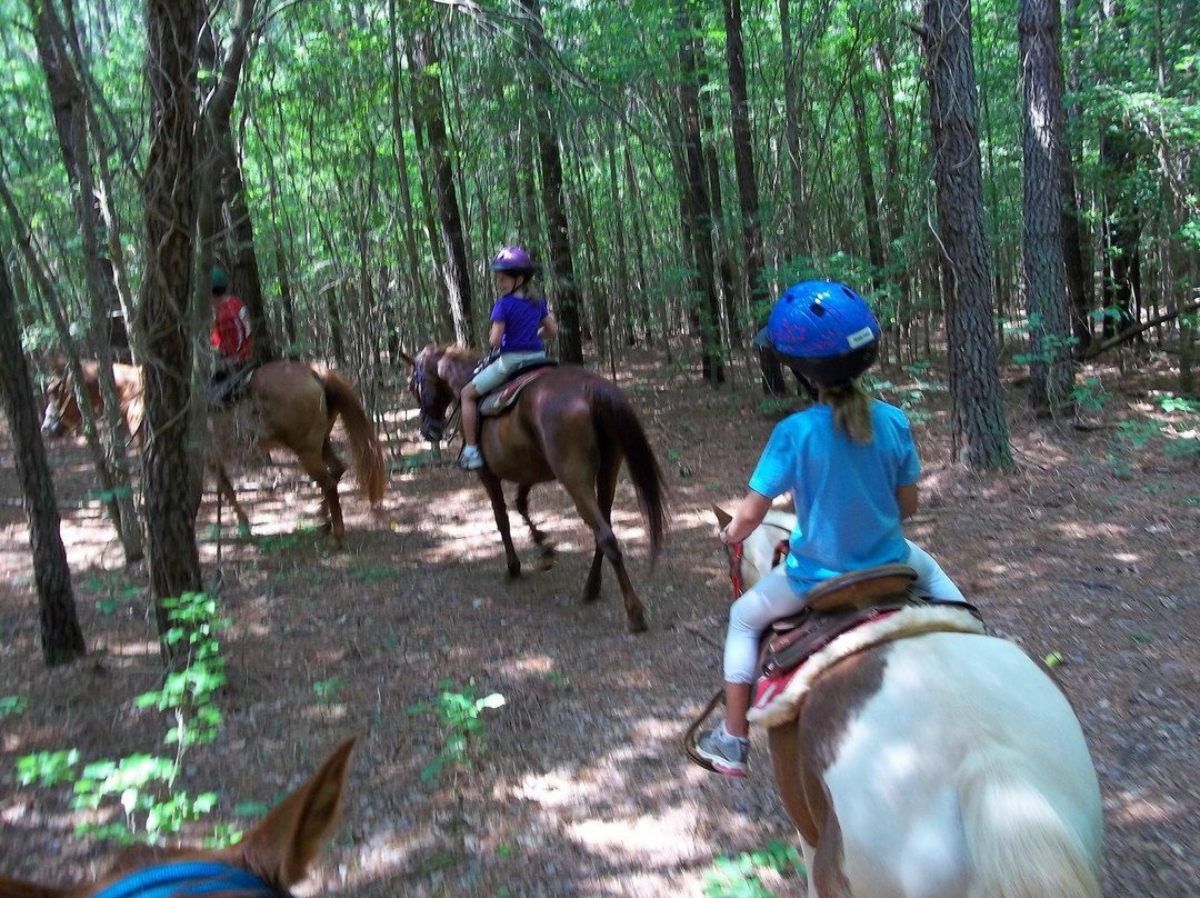 Happy Trails Farm - Private Trail Rides景点图片