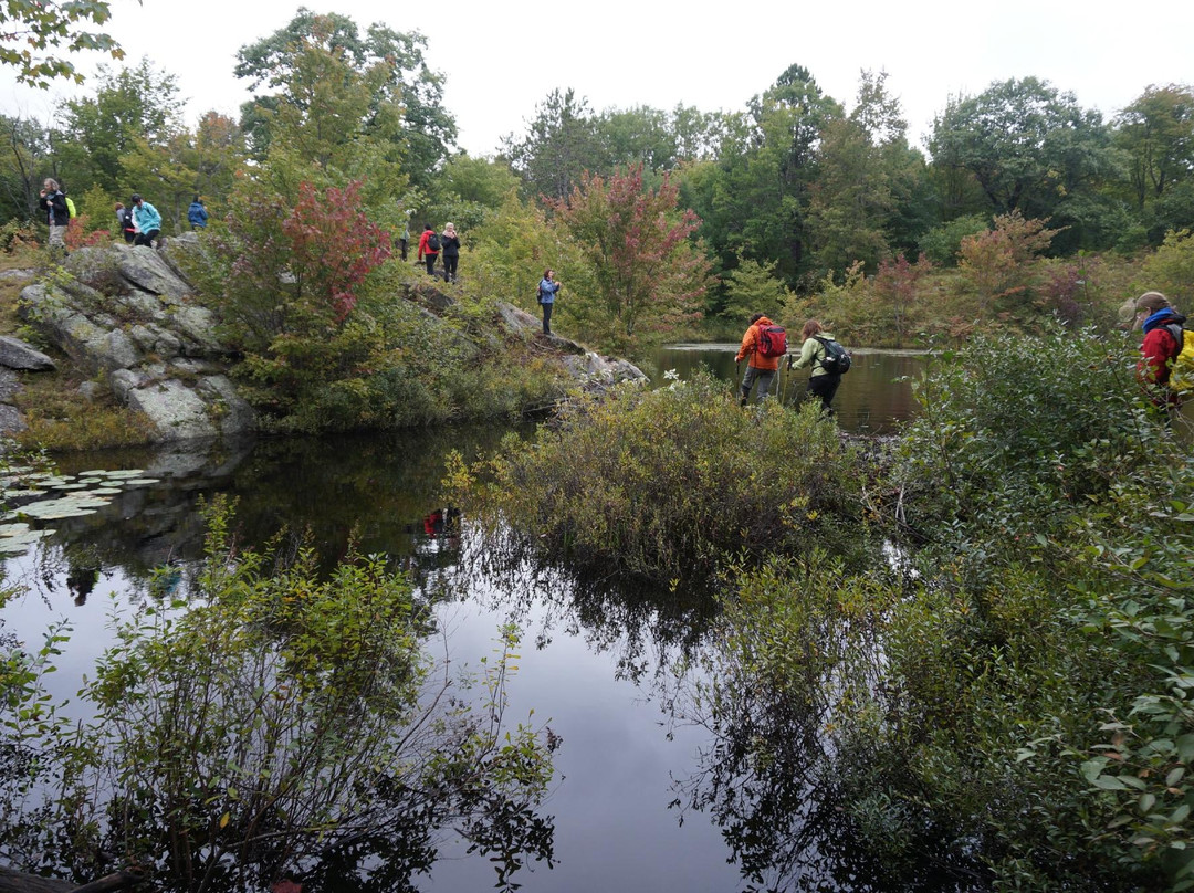 Queen Elizabeth II Wildlands Provincial Park-Kawartha Lakes必去景点