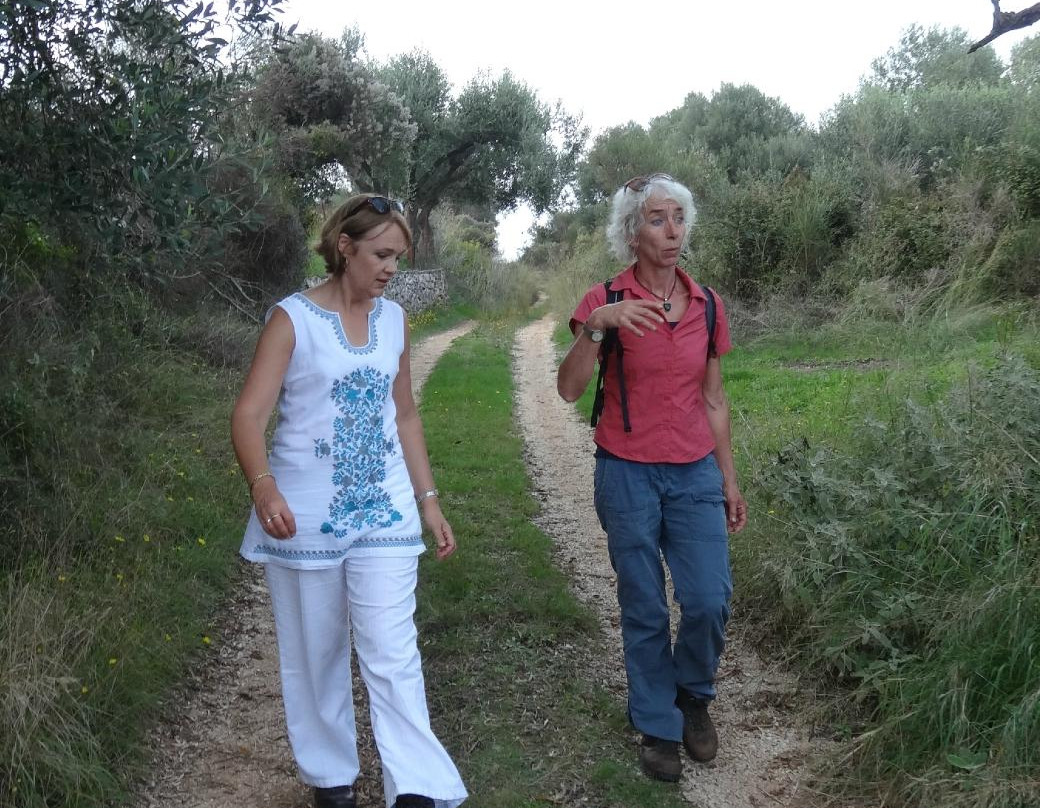 Words & Walks-Ithaca必去景点