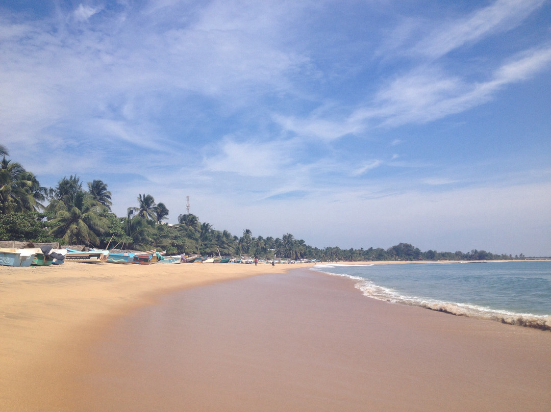 Arugam Bay-阿鲁甘湾必去景点