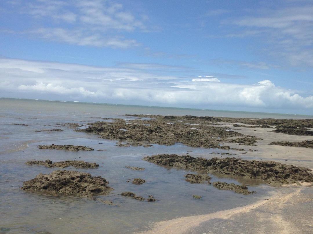 Tabuba Beach-Barra de Santo Antonio必去景点