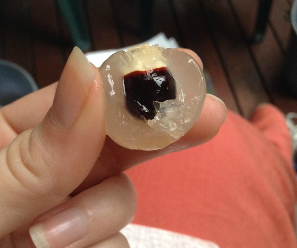 Cape Trib Exotic Fruit Farm-Cape Tribulation必去景点