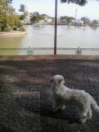 Lago dos Patos-瓜鲁柳斯必去景点