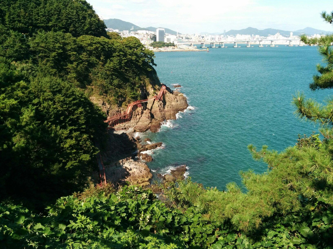 岩南公园-釜山必去景点