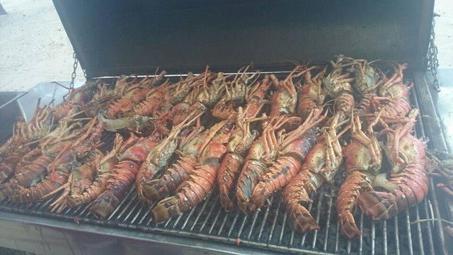 Pedrito Punta Cana-tatos Palm Beach-巴瓦罗必去景点