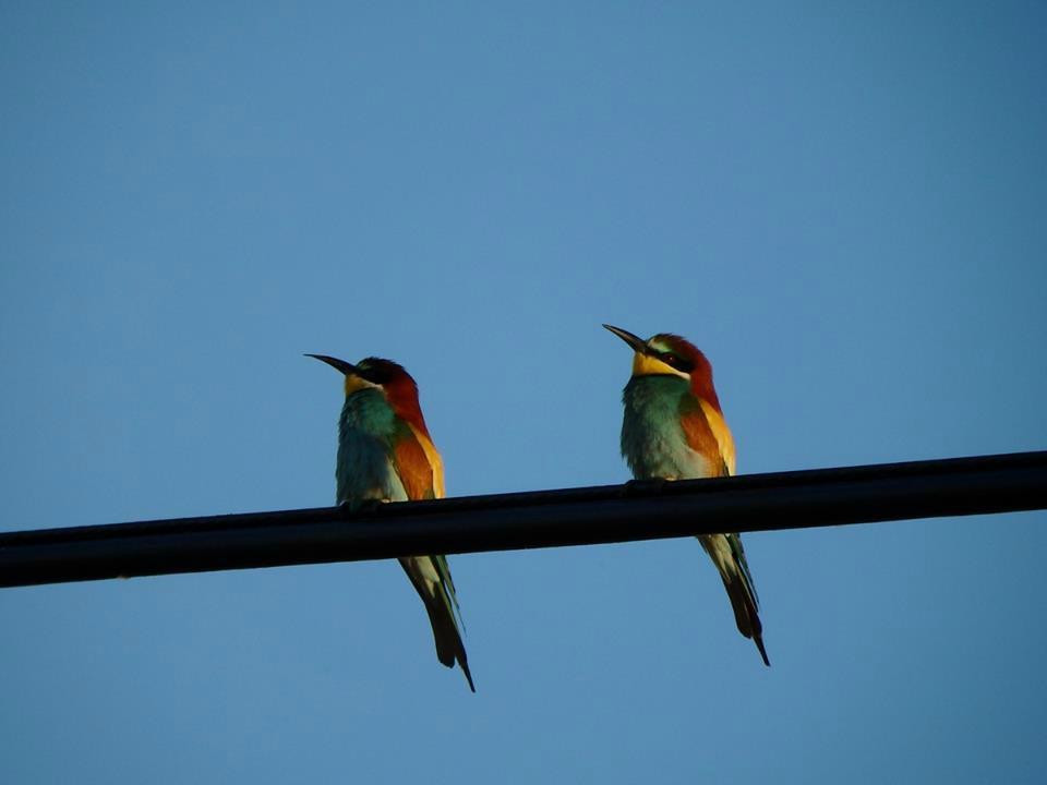 ALGARVE WOW- Day Tours-Almancil必去景点