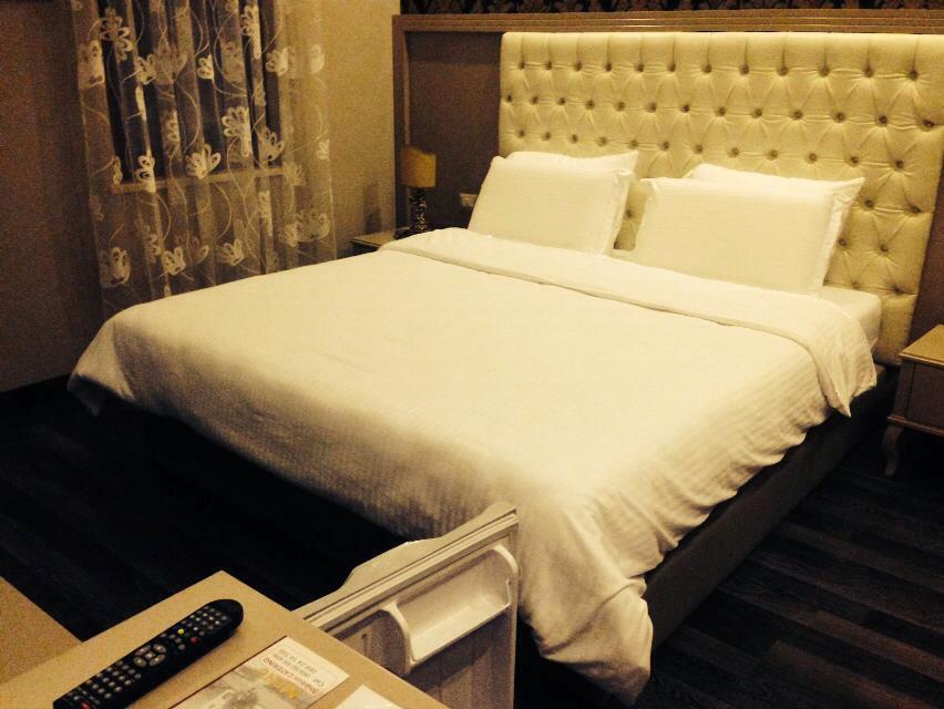 Vila Zeus Hotel-客卧