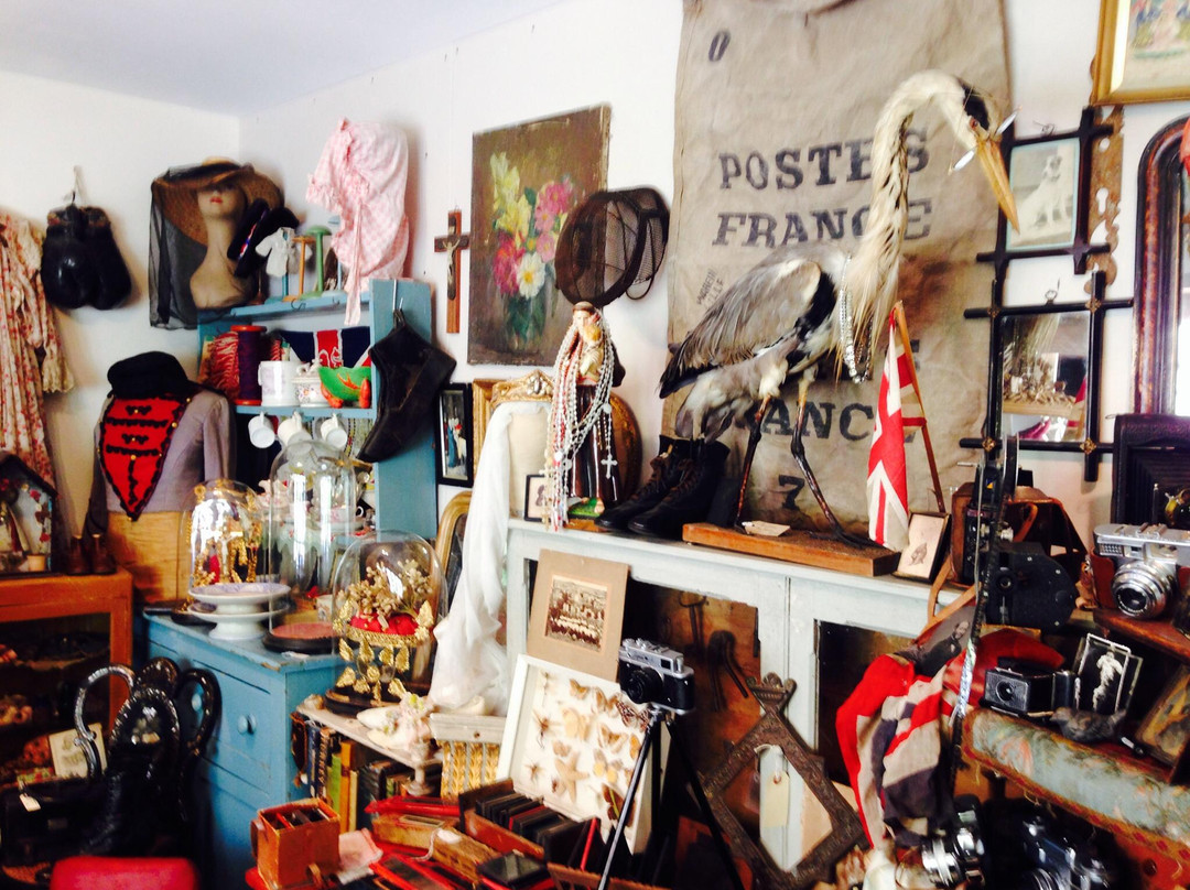 Sue Stokes Antiques景点图片