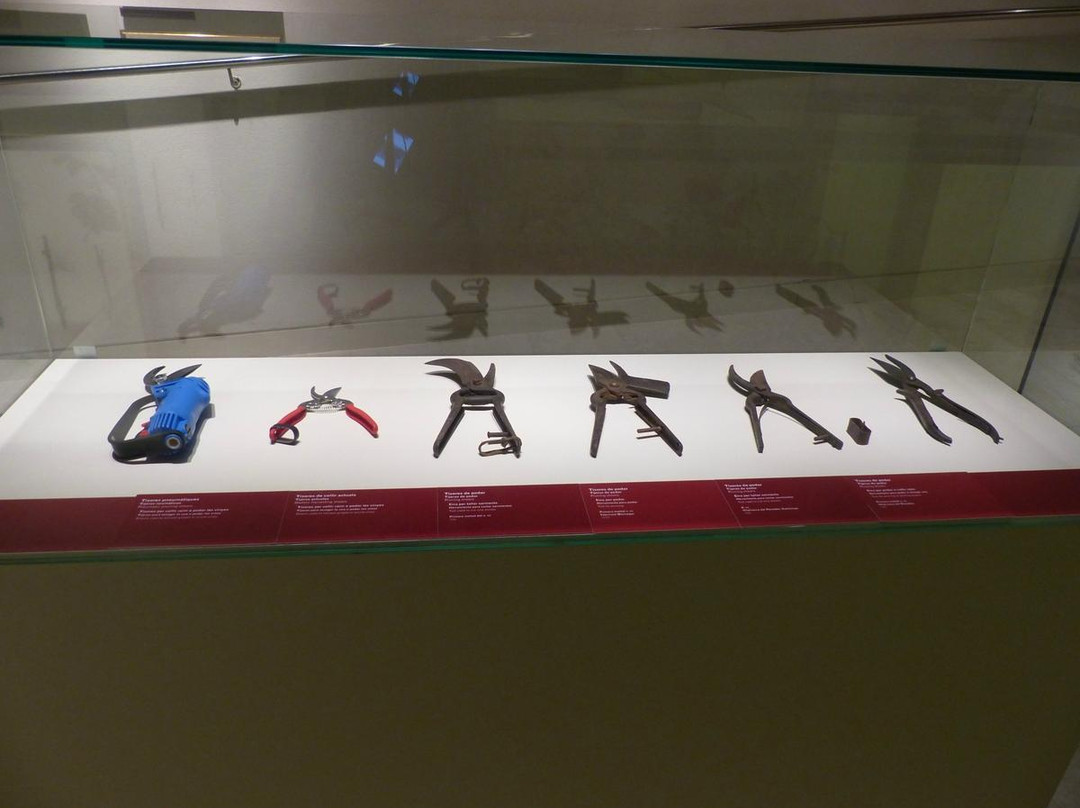 VINSEUM-比拉夫兰卡德尔佩内德斯必去景点