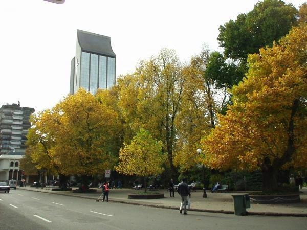 Plaza Anibal Pinto-特木科必去景点