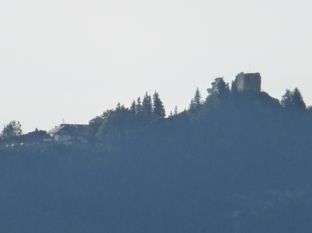 Burgruine auf dem Falkenstein景点图片