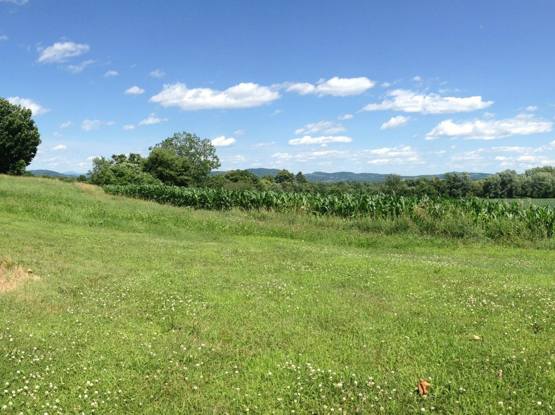 Maple Shade Bed & Breakfast主图