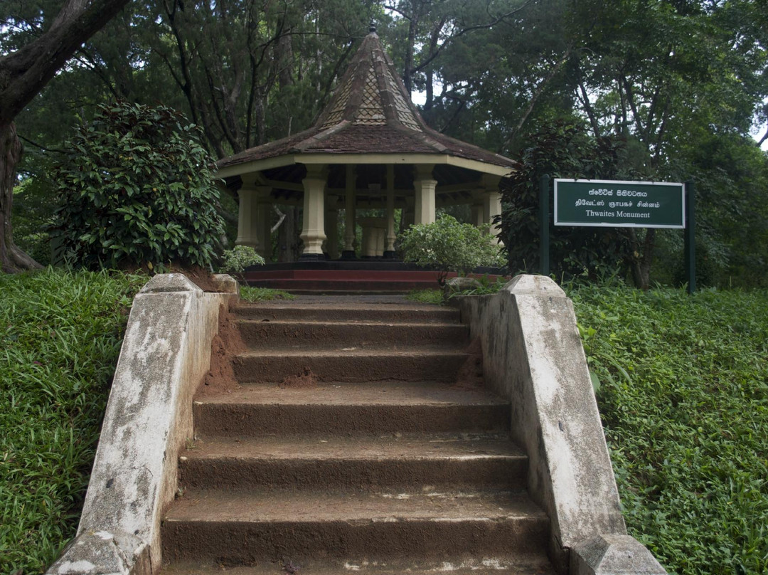 Rainbow Tours Sri Lanka景点图片