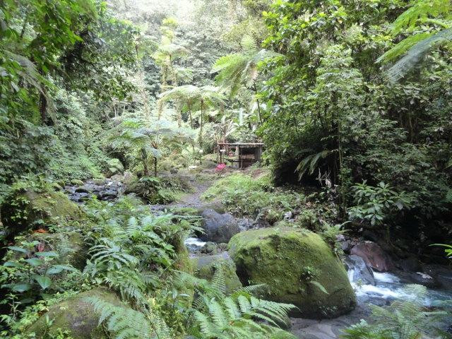 Les Gorges de la Falaise-马提尼克必去景点