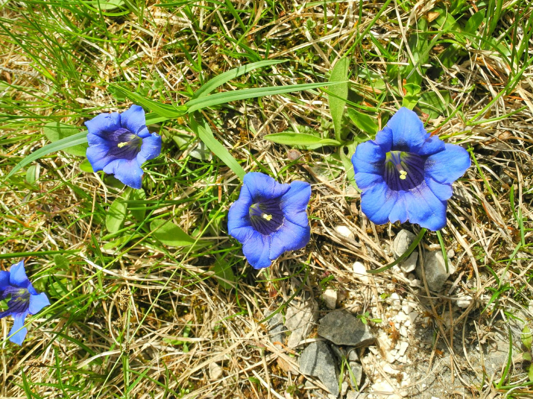 Forggensee Radweg-菲森必去景点