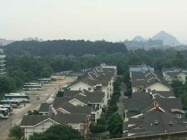 桂林紫藤花大酒店-酒店景观