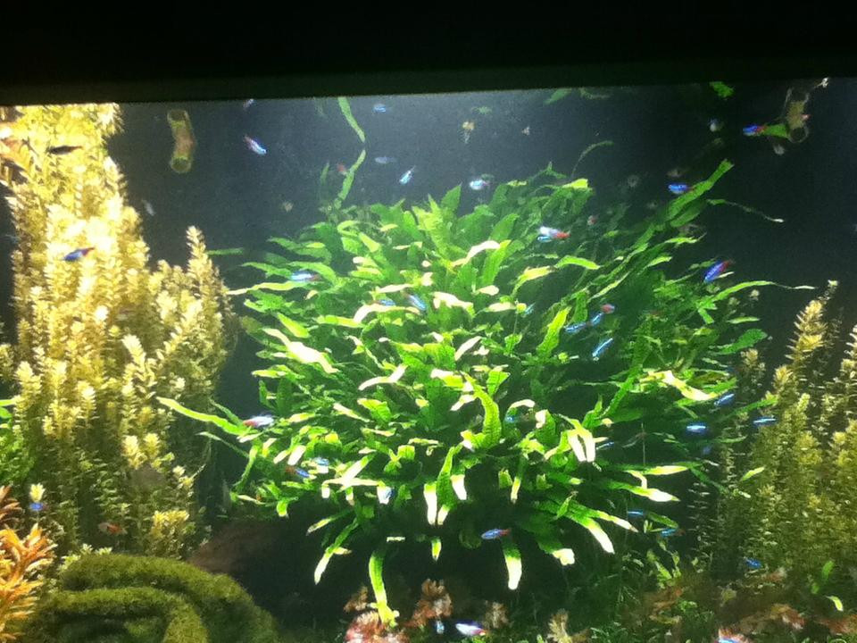 釜山水族馆-釜山必去景点